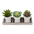 Monarch Specialties - 9373 Succulente Artificielle 6" de Haut - Pots Beiges - Ensemble de 3-Fabriquées à partir de matériaux de haute qualité, ces plantes artificielles présentent un feuillage détaillé et réaliste avec des formes de feuilles variées et des tons naturels