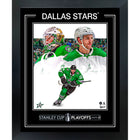 Dallas Stars 16x20 PhotoGlass 2025 Stanley Cup Playoffs - Impression encadree - 20" x 16"-Qualité supérieure - virtual frames
