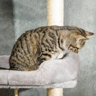 PawHut - Arbre à chat du sol au plafond, tour à hauteur réglable (85-101 po H), grand centre d’activités d’escalade - gris-Convient aux chats de moins de 10 lb (5 kg) 