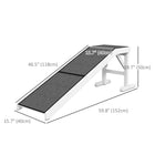 PawHut - Rampe pour animaux, marches de lit pour chien avec tapis antidérapant, 59 po L x 16 po l x 20 po H - blanc-Tapis antidérapant sur la rampe pour garantir la sécurité 