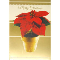 Rosedale - Cartes de souhaits Noël / Enveloppes - 5-1/2 po x 8 po - Fleur Rouge - Paquet de 12-Cartes de souhaits qualité boutique