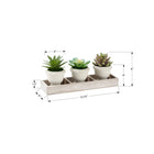 Monarch Specialties - 9373 Succulente Artificielle 6" de Haut - Pots Beiges - Ensemble de 3-Conçues avec des matériaux respectueux de l'environnement, cet ensemble décoratif constitue un accent élégant pour la maison ou le bureau. garantie limitée de 5 ans incluse. pour usage intérieur uniquement