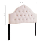Modway - Sovereign Touffe de diamant Performance Velvet Tête de lit complète, Rose-Boutons élégants en forme de biscuit