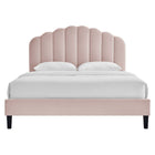 Modway - Daisy Performance Velvet Lit à plateforme jumelle, Rose-Tête de lit touffée en canal