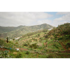 Fujifilm - Flash QuickSnap 400 - Appareil photo jetable - Paquet de 2-9