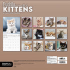 DateWorks - 2026 Calendrier Mural 16 Mois - 12 po x 12 po - Chatons Câlins - Anglais -13 images de haute qualité imprimées sur du papier Premium