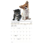DateWorks - 2026 Mini Calendrier Mural 16 Mois - 7 po x 7 po - Amis - Bilingue -Septembre 2025 - Décembre 2026