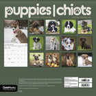 DateWorks - 2026 Calendrier Mural 16 Mois - 12 po x 12 po - Chiots - Bilingue -13 images de haute qualité imprimées sur du papier Premium