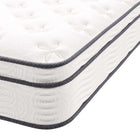 Modway - Jenna 10 po Ressorts et mousse Matelas simple-8