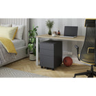 Ceha Canada - Coffrets métalliques à 3 tiroirs - Noir-CONSTRUCTION DURABLE : Fabriquée en acier avec une finition résistante aux rayures, cette armoire de classement garantit une durabilité à long terme