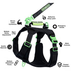 Healthy Harness - Harnais pour chien Supreme Sport - Vert - XL-Plusieurs points d'attache pour la laisse : un mousqueton à l'avant pour le dressage, un mousqueton à l'arrière pour les promenades occasionnelles et une poignée robuste pour les urgences