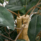 HOMCOM - Arbre artificiel ficus 5 pi pour décoration intérieure - vert-Matériau : PEVA, PE, Ciment 