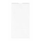 Reliabag - Sac pour ordonnances No.5 5,25 po P x 3,25 po l x 11 po H, blanc, 1000/caisse-Conçu pour les pharmacies – Idéal pour contenir des flacons de médicaments, piluliers et petits produits pharmaceutiques.