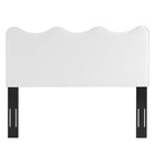 Modway - Athena Performance Velvet Tête de lit complète/Queen, Blanc-Tissu résistant aux taches durable