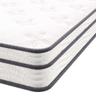 Modway - Jenna 6 po Ressorts et mousse Matelas King-Couche de mousse réactive