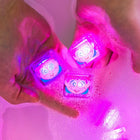 Glo Pals - Personnages sous licence - Abby Cadabby-4
