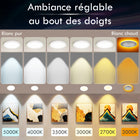 Impotek - Luminaire encastré au plafond DEL 4 po 9W 5CCT gradable avec veilleuse – Paquet de 6-Sécurité certifiée et compatibilité - Profitez de la tranquillité d’esprit avec nos certifications IC, ETL et Energy Star. Conçu pour un contact direct avec l’isolation, notre boîte de jonction protégée thermiquement garantit la sécurité et une large compatibilité avec divers types de plafonds et configurations de solives