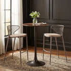 Zuo - Silues Tabouret de bar - Taupe/Brun - Ensemble de 2-Dimensions: 21,9 po L x 17,7 po L x 37,8 po H