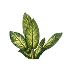 Monarch Specialties - Plante Artificielle - 47 po H - Arbre À Feuilles Persistantes - Touche Réelle - Feuilles Vertes - Pot Noir-6