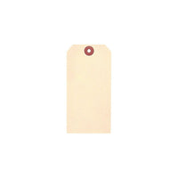 Accuform Signs - Manille Étiquettes vierges - Papier cartonné - 2-3/8" L x 4-3/4" H - paquet de 100-Construit en papier 10 points