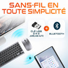 Delton - Ensemble clavier et souris sans fil portable/de voyage/compact N35 - argent-Il est équipé de 12 touches de fonction et de commandes multimédia, vous permettant d'accéder facilement au volume, à la musique et aux vidéos et de les contrôler.
