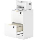 HOMCOM - Classeur vertical à 2 tiroirs rainurés pour documents lettre/A4 avec serrure - blanc-Deux tiroirs à dossiers conviennent aux dossiers format A4 ou lettre 
