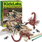 4M - KidzLabs Kit d’excavation d’insectes - Age 5+-Coque transparente, Loupe, Instructions détaillées