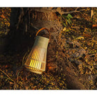 FSTENPUS - Haut-parleur Bluetooth à atmosphère de flamme avec effet de flamme scintillante à DEL, vert-Fonction TWS permettant d’appairer deux haut-parleurs