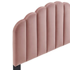 Modway - Veronique Performance Velvet Tête de lit complète/Queen, Rose poussiéreuse-Rembourrage en mousse dense