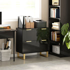HOMCOM - Caisson à 2 tiroirs avec rails réglables pour dossiers format lettre/A4/légal - noir brillant-La surface supérieure accueille facilement une imprimante, un scanner ou des objets de décoration 