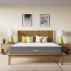 Modway - Kate 8 po Matelas Queen-Bobines enveloppées individuellement de 7,2 po