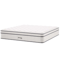 Modway - Jenna 14 po Ressorts et mousse Matelas King-Housse matelassée pour oreiller