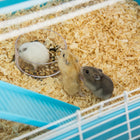 PawHut - Cage pour Hamster 5 Niveaux avec Système de Tunnels - Bleu Clair-Couleur : bleu clair, blanc