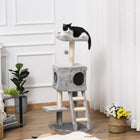PawHut - Arbre à chat 47 po, échelle, poteaux à griffer - balle-Poteaux à griffer en sisal pour une utilisation intensive 