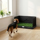 PawHut - Tapis d’herbe pour chien avec bords hauts et plateau, bac à litière d’intérieur-Le gazon artificiel réaliste aide à créer un environnement sûr et familier pour l’apprentissage de la propreté 
