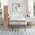 Modway - Jenna 10 po Ressorts et mousse Matelas simple-Bobines enveloppées individuellement de 8,5 po