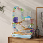 PawHut - Cage à Hamster 5 Niveaux - Bleu Clair-Non adapté aux races plus grandes telles que les hamsters syriens