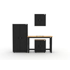 Cat - Ensemble d’armoires de garage (PAA) incluant 1 armoire-vestiaire, 1 armoire murale, 1 armoire de base et un établi de 48 po-Ensemble d’armoires et établi 4 pièces : Casier robuste de 36 po, armoire de base, armoire murale et établi de 48 po offrant un rangement pratique et une surface de travail dans un format compact.