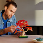 LEGO - Botanicals Le Bonsaï d’Érable Rouge Japonais, Décoration d'Arbre-Projet inspiré de la nature - L’ensemble offre un projet immersif aux amoureux de la nature ou des plantes, qui apprécieront de construire la plante LEGO et de s’émerveiller de son apparence réaliste