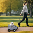 PawHut - Poussette pour animaux légère pliable à 4 roues pour petits chiens et chats-Le design pliable et léger simplifie les déplacements et le rangement 