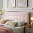 Modway - Emily Biscuit Touffé Performance Velvet Tête de lit Queen, Rose-Tissu résistant aux taches durable
