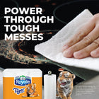 Royale - Tiger Papier Essuie-tout - paquet de 24-La marque Royale appartient à une organisation qui plante des millions d’arbres chaque année dans des forêts gérés de façon responsable, ce qui représente déjà plus d’un milliard d’arbres plantés depuis 1957