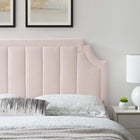 Modway - Alyona Chenal Touffé Performance Velvet Tête de lit jumelée, Rose-Rembourrage en mousse dense