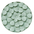 Dexypaws - Tapis à renifler enrichissant Sage Green Circle-100 % silicone de qualité alimentaire