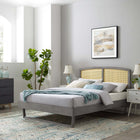 Modway - Sierra Canne et bois Lit plateforme Queen avec pieds angulaires, Gris-Assemblée requise