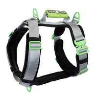 Healthy Harness - Harnais pour chien Ultimate Urban Premium - Argent - XXL-Conception anti-traction et anti-étranglement – ​​prévient les pressions néfastes sur le cou et la gorge de votre chien pour des promenades plus sûres et plus saines