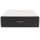 Modway - Aveline 16 po Mousse à mémoire de forme Matelas complet-Comprimé et scellé sous vide dans une boîte