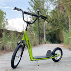 Aosom - Trottinette pour enfants avec guidon réglable, freins avant et arrière doubles - vert-Matériau : Acier, alliage d'aluminium, caoutchouc, PP 
