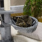 PawHut - arbre à chat 55 po pour chats d’intérieur, centre d’activités avec balles suspendues, condo, hamacs, lit, rampe - gris-Conception à plusieurs niveaux qui satisfait le désir de grimper de votre animal 
