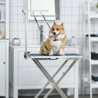 PawHut - Bras de toilettage pour chien réglable 25,6 po H avec pince et 3 boucles - argent-Réglez la hauteur et la longueur du bras pour une position de toilettage confortable et qui préserve le dos 